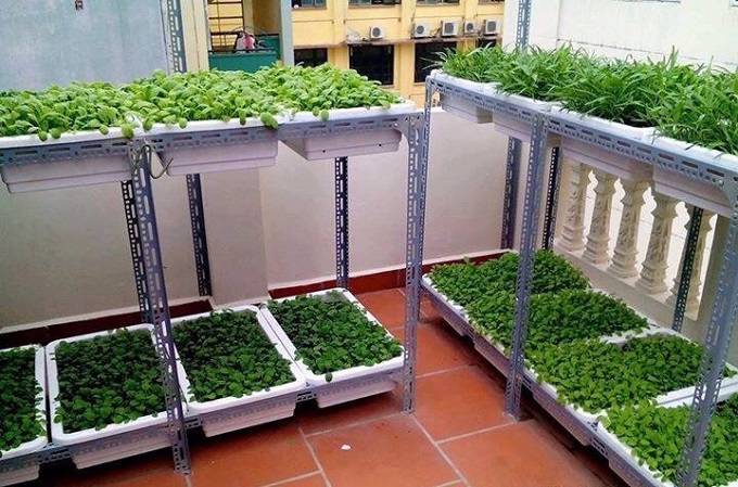 , Bán thùng xốp trồng rau tphcm ở đâu bền chắc nhất?, ThungXop.Org