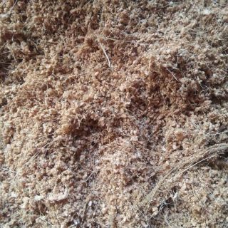 Mụn Dừa Trồng Cây (SL:5Kg) Vật Tư Trồng Cây