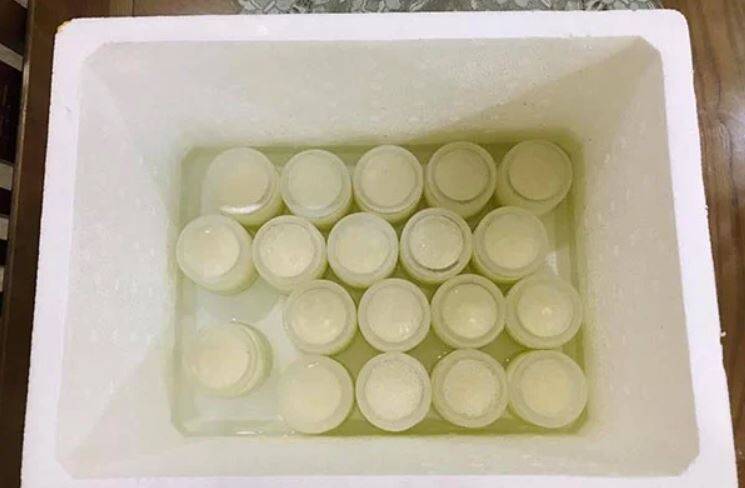 Hướng dẫn chi tiết cách ủ sữa chua bằng thùng xốp, đảm bảo thành công ngay từ lần đầu tiên! Thông tin Hướng dẫn chi tiết cách ủ sữa chua bằng thùng xốp, đảm bảo thành công ngay từ lần đầu tiên! Thông tin